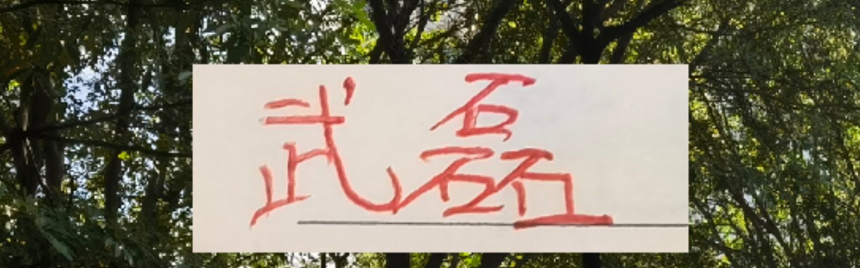 开云APP-海港冬训海报 武磊跟LEO占C位 梅伦多跟加布里不在之中