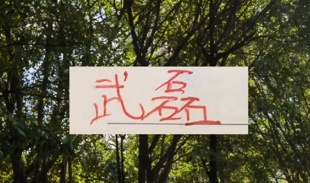 开云APP-海港冬训海报 武磊跟LEO占C位 梅伦多跟加布里不在之中